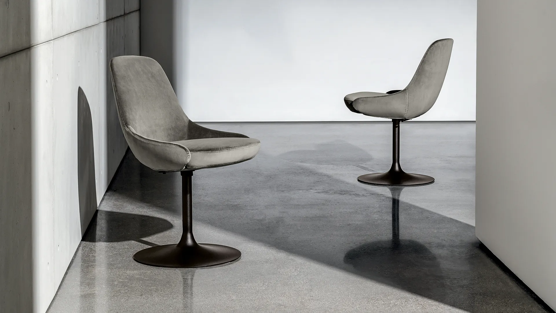  Due sedie imbottite e rivestite in velluto color talpa, senza braccioli con struttura girevole color caffè